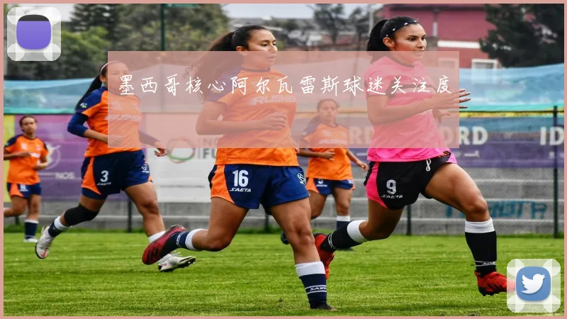 墨西哥核心阿尔瓦雷斯球迷关注度
