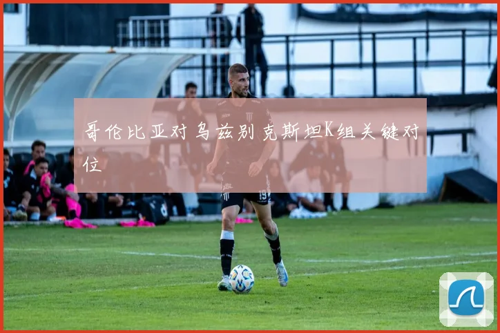哥伦比亚对乌兹别克斯坦K组关键对位