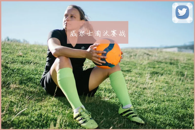 威尔士淘汰赛战
