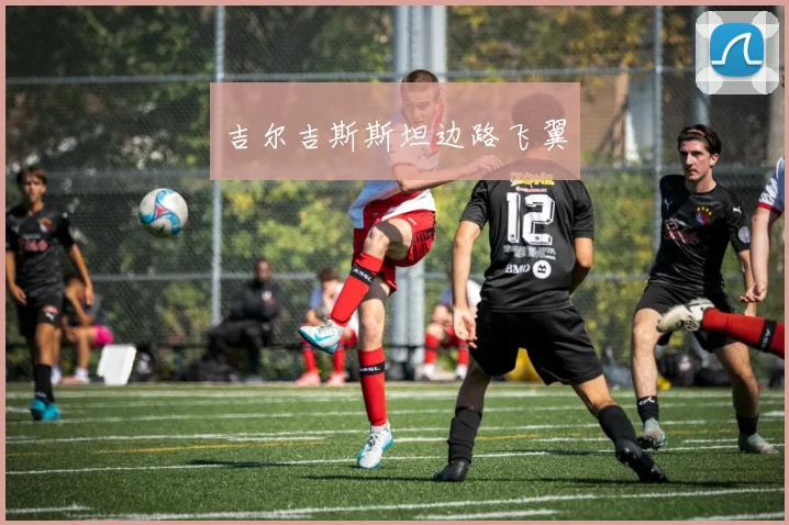 吉尔吉斯斯坦边路飞翼