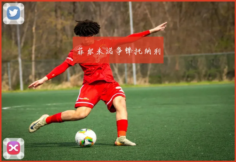 菲尔米诺争锋托纳利