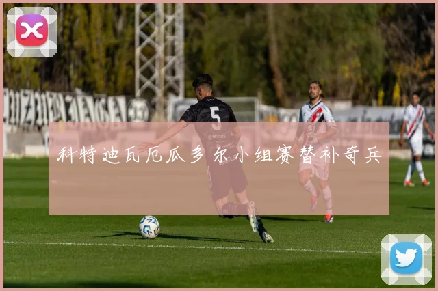 科特迪瓦厄瓜多尔小组赛替补奇兵