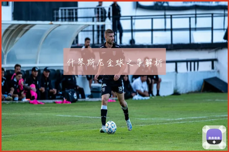 什琴斯尼金球之争解析
