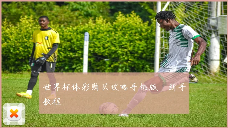 世界杯体彩购买攻略手机版｜新手教程