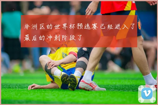非洲区的世界杯预选赛已经进入了最后的冲刺阶段了