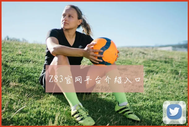 Z83官网平台介绍入口