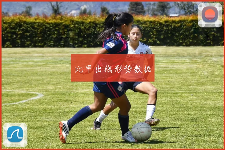 比甲出线形势数据