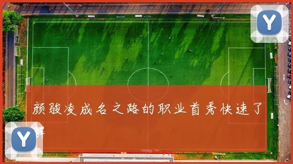 颜骏凌成名之路的职业首秀快速了解