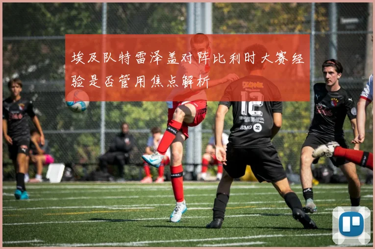 埃及队特雷泽盖对阵比利时大赛经验是否管用焦点解析